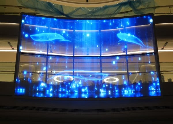 Transparent LED Glass For Education
