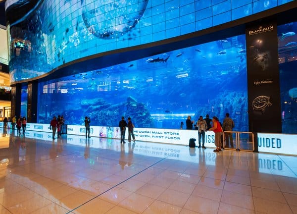 Transparent LED for hospitality Lobby