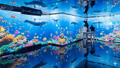 transparent LED Screens For Hospitality Leisure